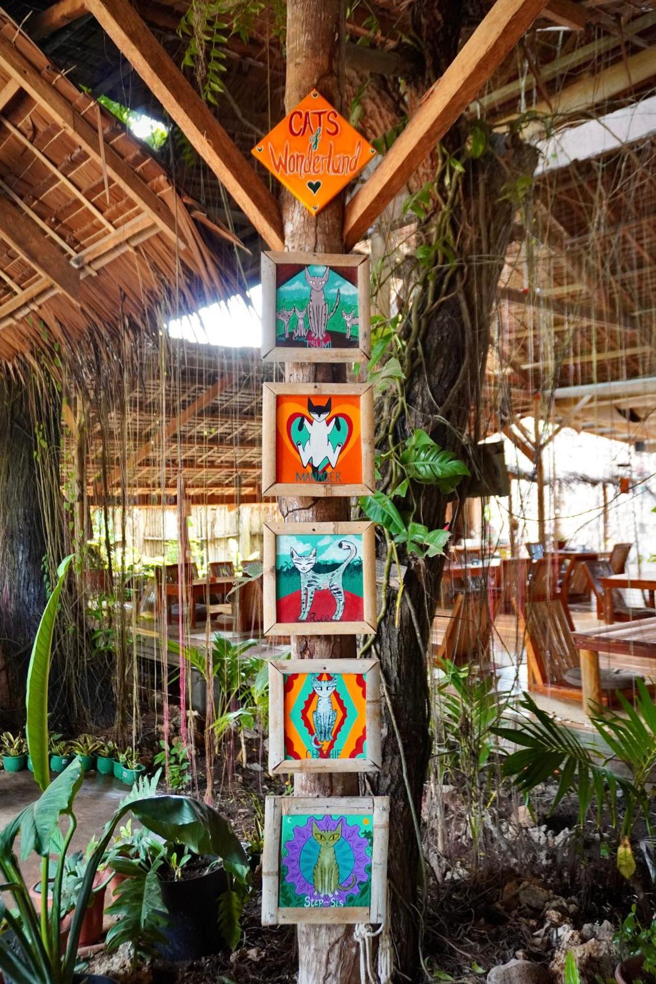 Wonderland Hotel Siquijor Kültér fotó